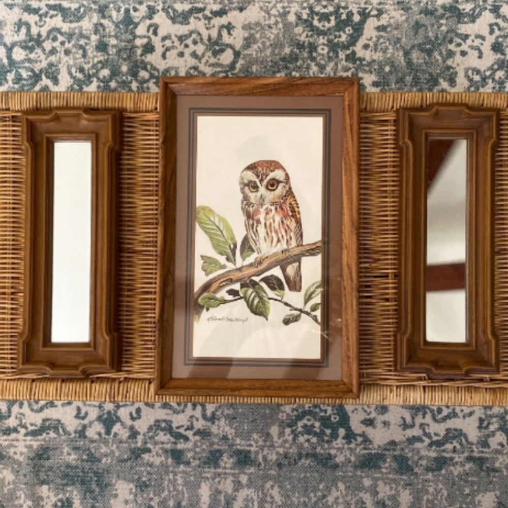 Owl & Mirrors Set by Leland Brewsaugh